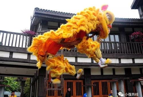 舞狮少年爆料视频完整版,完整版爆料视频背后的故事与感动